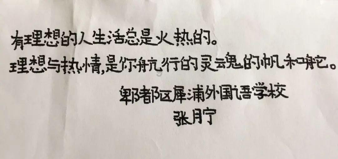 牧场物语希望之光